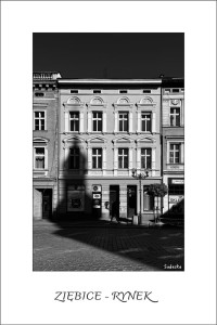  RYNEK  W ZIĘBICACH (pocztówka)
