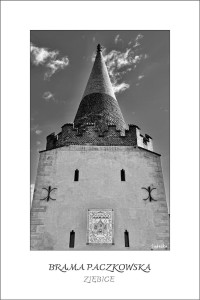 ZIĘBICE - BRAMA PACZKOWSKA (pocztówka)