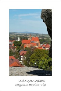 ZIĘBICE - PANORAMA (pocztówka)